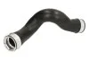<strong>Патрубок інтеркулера THERMOTEC DCW190TT (фото 1)</strong>