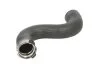 <strong>Патрубок інтеркулера THERMOTEC DCW195TT (фото 1)</strong>