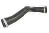 <strong>Патрубок інтеркулера THERMOTEC DCW200TT (фото 1)</strong>