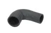<strong>Патрубок інтеркулера THERMOTEC DCW213TT (фото 1)</strong>