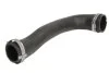 <strong>Патрубок інтеркулера THERMOTEC DCX094TT (фото 1)</strong>
