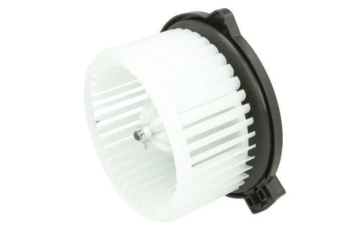 <strong>Вентилятор салону THERMOTEC DD2001TT (фото 1)</strong>