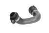 <strong>Шланг гумовий сист. охолоджен. THERMOTEC DWB104TT (фото 2)</strong>