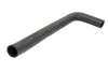 <strong>Шланг радиатора THERMOTEC DWF300TT (фото 1)</strong>