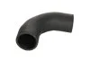 <strong>Патрубок інтеркулера THERMOTEC DWG084TT (фото 1)</strong>