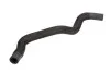 <strong>Шланг гумовий сист. охолоджен. THERMOTEC DWP001TT (фото 1)</strong>