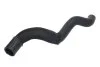 <strong>Шланг гумовий сист. охолоджен. THERMOTEC DWP158TT (фото 1)</strong>