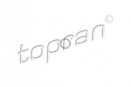 Уплотняющее кольцо форсунки. TOPRAN / HANS PRIES 100678