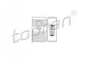 <strong>Выключатель (главный свет) TOPRAN 103569 (фото 1)</strong>