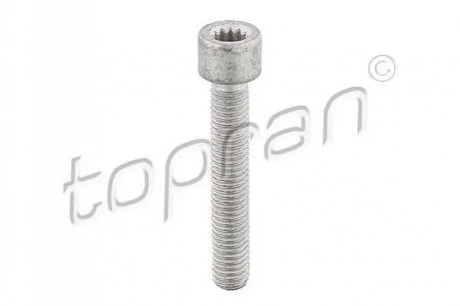 Болт кріплення ШРУСа для Volkswagen, Audi, Seat TOPRAN 104306 фото товару