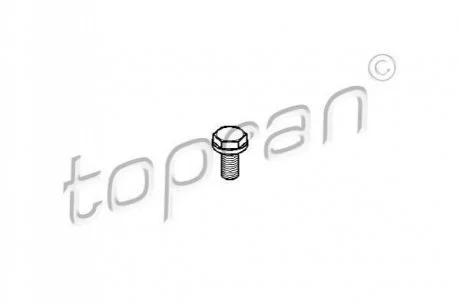 Болт маховика колінвалу для Seat, Volkswagen, Audi TOPRAN 110260 фото товару