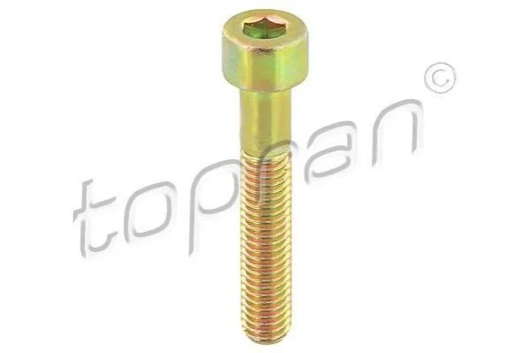 <strong>Болт, корпус скоби гальма TOPRAN 110708 (фото 1)</strong>