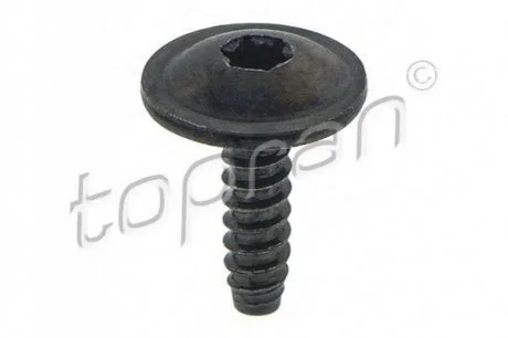 Болт для Fiat, Peugeot, Citroen, Audi, Seat TOPRAN 115717 фото товару