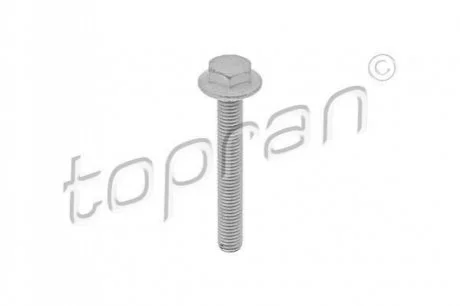 Болт для Volkswagen, Skoda, Seat, Audi, Peugeot TOPRAN 115806 фото товару