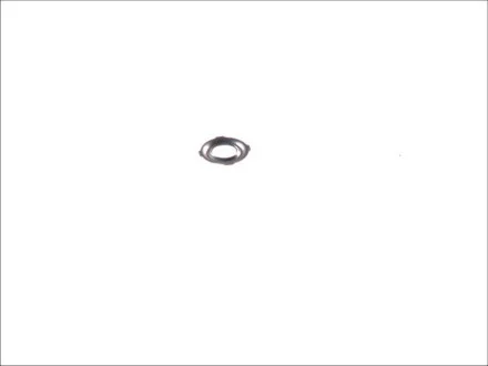 Шайба інжектора OPEL COMBO/MINIVAN, CORSA A, CORSA A TR, CORSA A/HATCHBACK, CORSA B, CORSA B/HATCHBACK, VECTRA A, VECTRA B 15D-X17TD для TOPRAN 206012 фото товару
