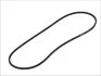 <strong>Поліклиновий ремінь (2PK836) AUDI 100 C3, 80 B2, 80 B3, 80 B4, 90 B2, 90 B3 VW PASSAT B2 1.3-2.5D 08.78-01.96 TOPRAN 104130 (фото 2)</strong>