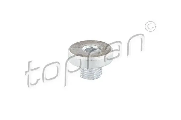 <strong>Гвинт зливного масляного піддону M10x1 AUDI A3, Q3, Q7, TT PORSCHE CAYENNE, PANAMERA VW CALIFORNIA T5 CAMPER, CC B7, GOLF PLUS V, GOLF V, GOLF VI, JETTA III, JETTA IV 1.2-6.0D 01.98-05.22 TOPRAN 115362 (фото 1)</strong>