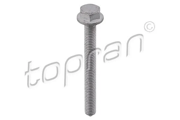 <strong>Ремкомплект стабілізатора (болт важеля, M8x1,25) AUDI A3 SEAT ALTEA, ALTEA XL, LEON SKODA OCTAVIA II, SUPERB II, YETI VW EOS, GOLF PLUS, GOLF PLUS V, GOLF V, GOLF VI 1.2-3.6 05.03-12.17 TOPRAN 115703 (фото 1)</strong>
