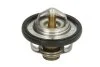 <strong>Термостат TOURMAX TMT301 (фото 1)</strong>
