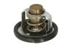 <strong>Термостат TOURMAX TMT301 (фото 2)</strong>