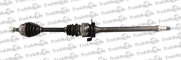 <strong>DB Полуось прав. с ABS L=958mm 24/22 зуб.A-Class W168 -04 TRAKMOTIVE 30-0458 (фото 1)</strong>
