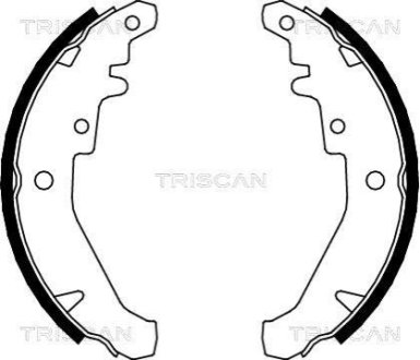 Комплект гальмівних колодок TRISCAN 810015026