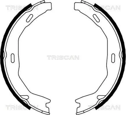 <strong>Комплект гальмівних колодок, Стоянкове гальмо TRISCAN 810023029 (фото 1)</strong>
