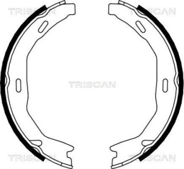 Комплект гальмівних колодок, Стоянкове гальмо TRISCAN 810023029 (фото 1)