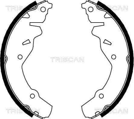 <strong>Комплект гальмівних колодок TRISCAN 810080002 (фото 1)</strong>