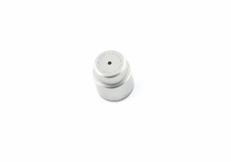Підшипник голчастий для Volkswagen, Skoda, Audi, Seat VAG 06B105313D фото товару
