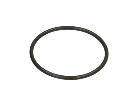 Кільце ущільнююче 55*3 для Seat, Skoda, Volkswagen, Audi VAG N90521604 фото товару
