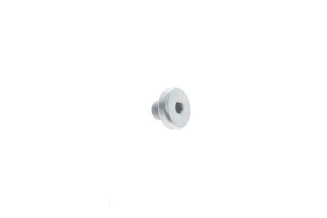 Корок М10*9 для Audi, Porsche, Volkswagen VAG WHT005510 фото товару