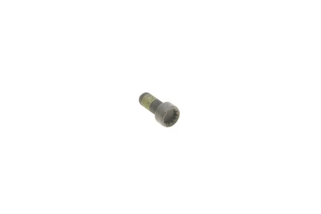 Болт кріплення маховика AUDI/VW для Skoda, Audi, Volkswagen, Jeep, Seat VAG WHT009773 фото товару