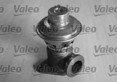 <strong>Клапан возврата ОГ VALEO 700404 (фото 1)</strong>