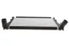 <strong>Радіатор інтеркулера Seat OctaviaIII/SuperbIII/VW VALEO 818347 (фото 1)</strong>