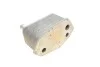 <strong>Радіатор масляний BMW 3 E46 (98-) 330d (вир-во) Van Wezel 06003571 (фото 2)</strong>
