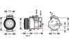 Купить Компресор кондиціонера MERCEDES C-CLASS W203 00- Van Wezel 3000K091 по низкой цене в Украине (фото 1)