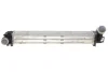 <strong>Інтеркулер RENAULT MEGANE3 20i/19dCi MT 08- (вир-во) Van Wezel 43004411 (фото 1)</strong>