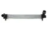 <strong>Інтеркулер RENAULT SCENIC 4/09 > 16 (вир-во Van Weze) Van Wezel 43004614 (фото 1)</strong>