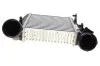 <strong>Інтеркулер PASSAT6/SUPERB 19TDi 00- Van Wezel 58004238 (фото 6)</strong>