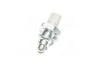 <strong>Вимикач ліхтаря заднього ходу VERNET RS5554 (фото 4)</strong>