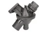 <strong>Термостат BMW (вир-во Vernet) VERNET TE7289.108J (фото 1)</strong>