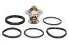 <strong>Термостат Audi 80/ VW Bora/Golf/Jette/Passat/Polo/Transporter 1.0-4.2 68-10 (87C) з прокладкою VERNET TH1439.87J (фото 1)</strong>