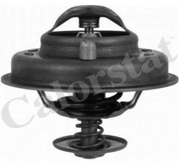 Термостат, охолоджуюча рідина для Renault, Citroen, Rover, Peugeot, Ford VERNET TH4780.78J фото товару