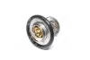 <strong>Термостат, охолоджуюча рідина VERNET TH5750.92J (фото 2)</strong>