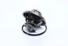<strong>Термостат, охолоджуюча рідина VERNET TH5902.87J (фото 2)</strong>