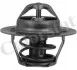 <strong>Термостат, охолоджуюча рідина VERNET TH5955.88J (фото 1)</strong>