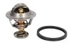 <strong>Термостат, охолоджуюча рідина VERNET TH6295.76J (фото 1)</strong>