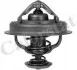 <strong>Термостат, охолоджуюча рідина VERNET TH6525.82J (фото 1)</strong>
