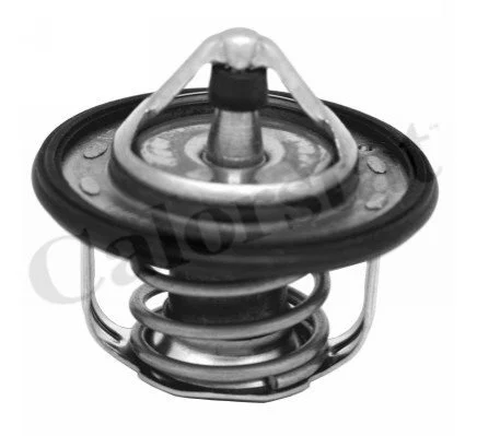 <strong>Термостат NISSAN / RENAULT (вир-во Vernet) VERNET TH7300.95J (фото 1)</strong>